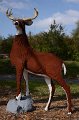 Kids_DFWzoo_3-2016 (42)
